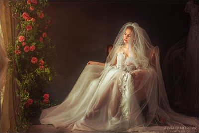 Wedding Portrait - 1
